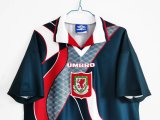 1994-95 Wales Away Retro Jersey/94-95 威尔士客场