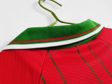 1994-96 Wales Home Retro Jersey/94-96 威尔士主场