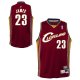 2003-04 Cleveland Cavaliers Hardwood Classics LeBron James#23 Swingman NBA Jersey/03-04赛季克利夫兰骑士队23号詹姆斯