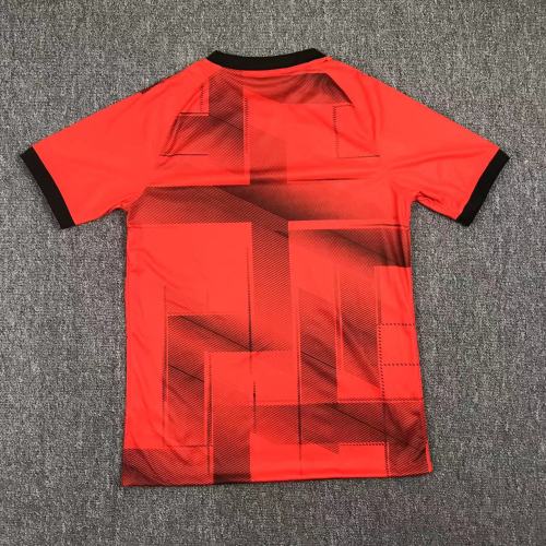 2023 Urawa Red Diamonds AFC Champions League Jersey/23浦和红钻亚冠版