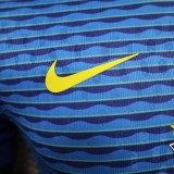 2024 Brazil Away Player Jersey/2024巴西客场球员版