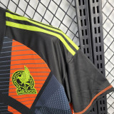 2024 Mexico Goalkeeper Fans Jersey/ 2024 墨西哥守门员球迷