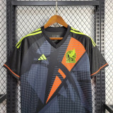 2024 Mexico Goalkeeper Fans Jersey/ 2024 墨西哥守门员球迷