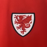 2024 Wales Home Fans Jersey / 2024 威尔士主场球迷