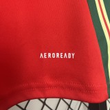 2024 Wales Home Fans Jersey / 2024 威尔士主场球迷