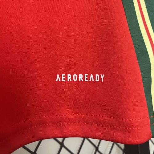 2024 Wales Home Fans Jersey / 2024 威尔士主场球迷