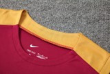 24-25 Barcelona Vest Training  Suit/24-25巴萨背心训练服