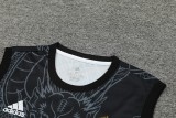 24-25 Real Madrid Vest Training Suit/24-25皇马背心训练服