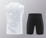 24-25 Real Madrid Vest Training Suit/24-25皇马背心训练服