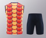 24-25 Barcelona Vest Training  Suit/24-25巴萨背心训练服