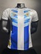 2024 Argentina Special Player Jersey/ 2024阿根廷特别版球员版