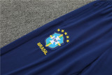 2024 Brazil Player Version Training Suit/2024巴西半拉训练服，球员版