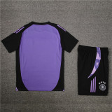 2024 Germany Purple Short Sleeve Training Suit/2024德国短袖训练服