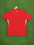 2024 Turkey Away Fans Jersey/ 2024 土耳其客场球迷版
