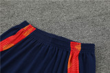 2024 Spain Red Short Sleeve Training Suit/2024西班牙短袖训练服