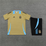 2024 Argentina Short Sleeve Training Suit/2024阿根廷短袖训练服