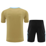 2024 Argentina Short Sleeve Training Suit/2024阿根廷短袖训练服