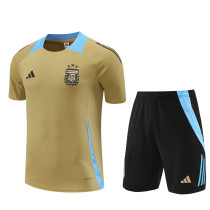 2024 Argentina Short Sleeve Training Suit/2024阿根廷短袖训练服 2024 Argentina Short Sleeve Training Suit/2024阿根廷短袖训练服