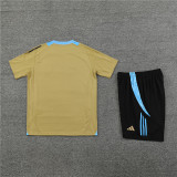 2024 Argentina Short Sleeve Training Suit/2024阿根廷短袖训练服