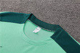 24-25 Tottenham Hotspur Short Sleeve Training Suit/24-25热刺绿色短袖训练服