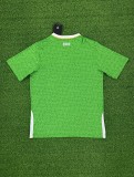 2024 Ireland Home Fans Jersey/ 2024 爱尔兰主场球迷版
