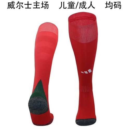 2024 Wales Home Socks/2024威尔士主场袜子