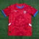 2024 Czech Home  Fans Jersey/ 2024 捷克主场球迷版