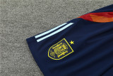 2024 Spain Blue Short Sleeve Training Suit/ 2024 西班牙短袖训练服