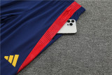 2024 Spain Light Blue Training Suit/2024 西班牙浅蓝色训练服