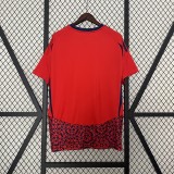 2024 Costa Rica Home Fans Jersey/ 2024 哥斯达黎加主场