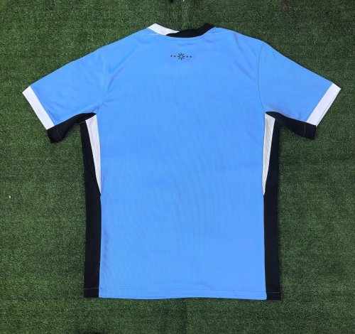 2024 Uruguay Home Fans Jersey/ 2024乌拉圭主场球迷版