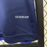 24-25  Boca Juniors Third Fans Jersey/ 24-25 博卡第二客场球迷版