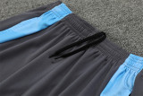 24-25 Argentina Gold Training Suit/ 24-25 阿根廷金色训练服