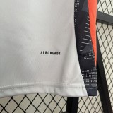 24-25 Benfica Training Jersey/ 24-25 本菲卡训练服