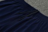 24-25 Manchester City Yellow Training Suit/24-25曼城半拉训练服