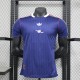 24-25 Arsenal Special Jersey/ 24-25 阿森纳特别版