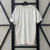 24-25 Arsenal Wthie Special Fans Jersey/24-25 阿森纳白色特别版球迷
