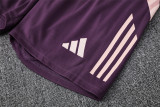 24-25 Arsenal Short Sleeve Training Suit/ 24-25阿森纳短袖训练服