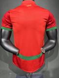 2025 Morocco Home Player Jersey/2025 摩洛哥主场球员版