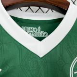 25-26 Palmeiras Home Fans Jersey/ 25-26 帕尔梅拉斯主场球迷版