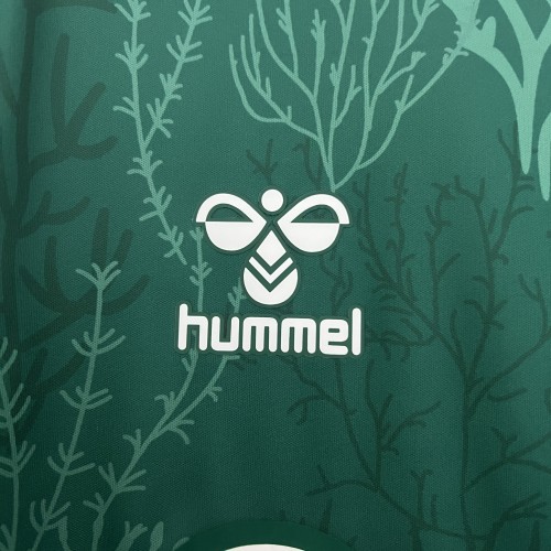 25-26 Real Betis Special Jersey/25-26贝蒂斯特别版