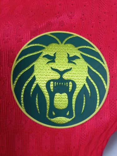 2025 Cameroon Away Player Jersey/2025喀麦隆客场球员版