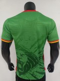 2025 Cameroon Home Player Jersey/2025喀麦隆主场球员版