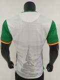 2025 Cameroon Third Player Jersey/2025喀麦隆第二客场球员版