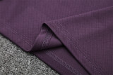 25-26 Manchester United Short Sleeve Training Suit/ 25-26曼联短袖训练服