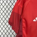25-26 Toronto Home Fans Jersey/25-26多伦多主场球迷