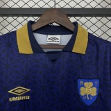 2025 Ireland Special Fans Jersey/ 2025爱尔兰特别球迷版