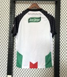 25-26 Palestino Deportivo Home Fans Jersey/ 25-26 巴勒斯坦人主场球迷
