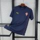 2025 Portugal Blue Training Jersey/2025葡萄牙宝蓝训练服