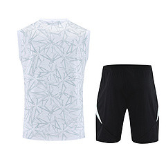25-26 Real Madrid White Vest Training Suit/25-26皇马背心训练服